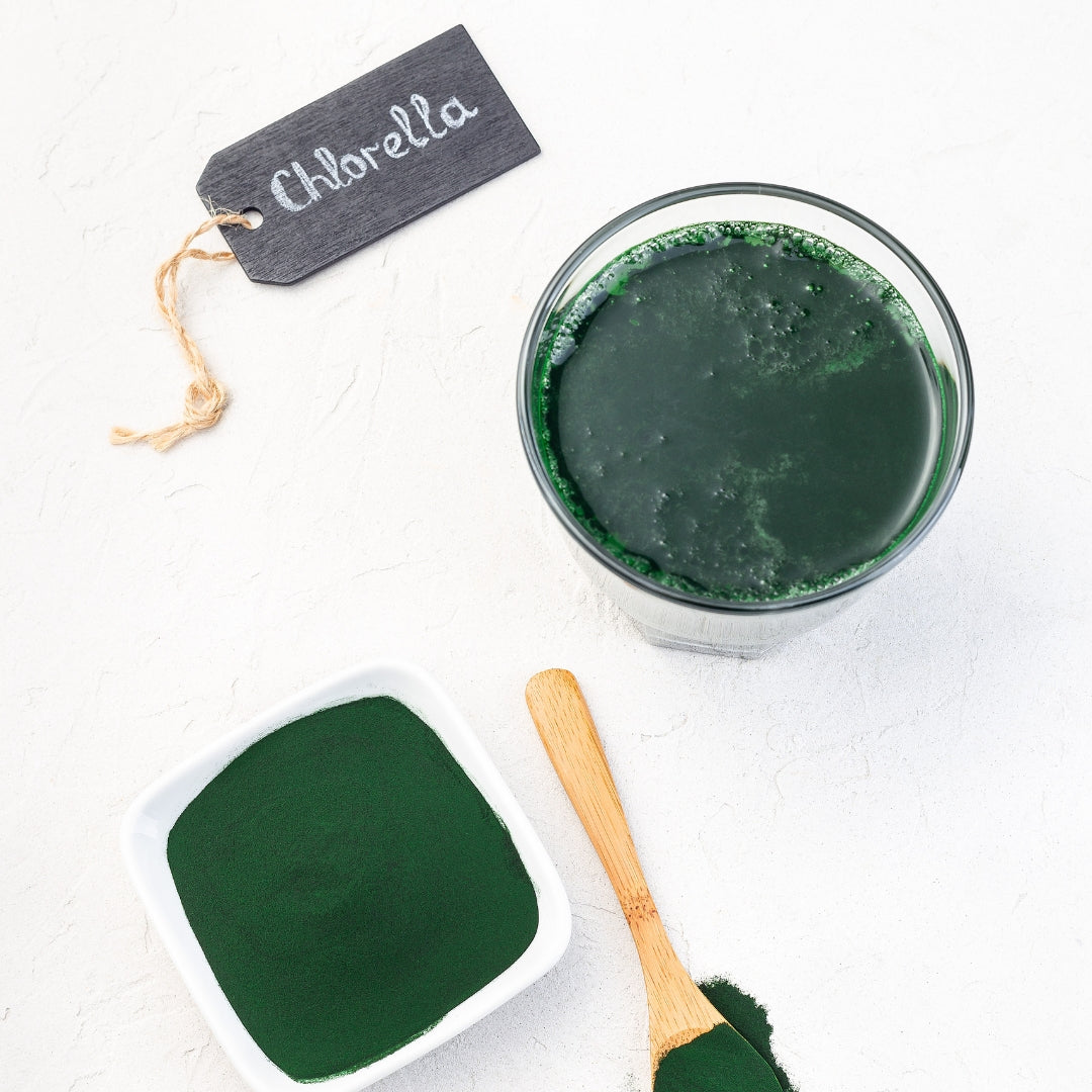 Premium Chlorella in Therapiequalität (Pestizidfrei)