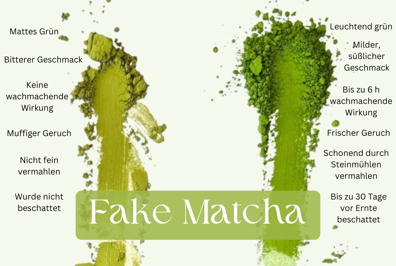 Matcha Qualität: Echter vs. Fake Matcha