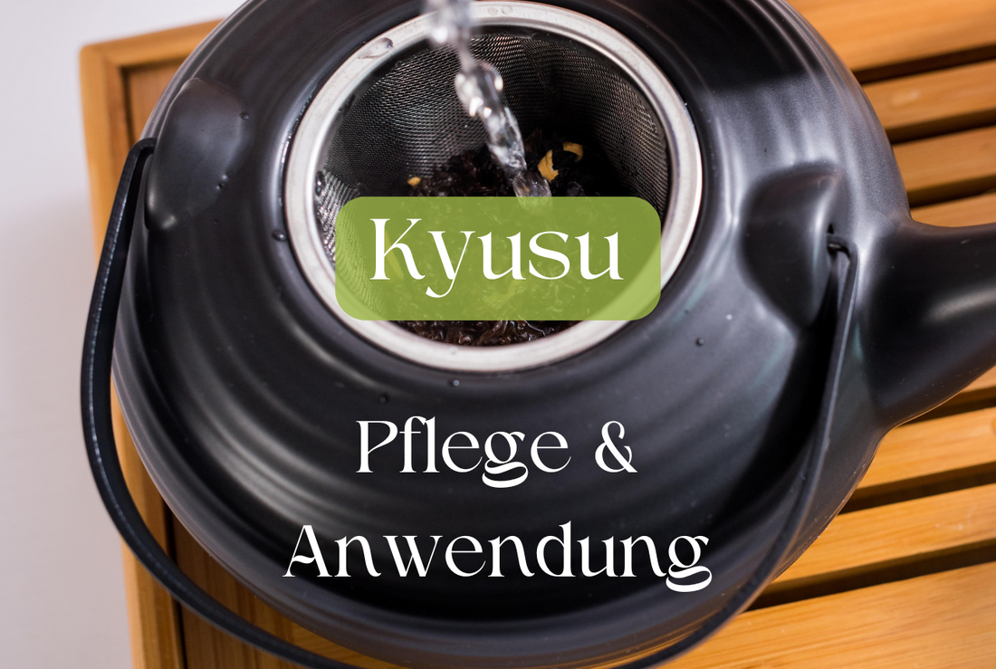 Kyusu Teekannen Anwendung und Pflege