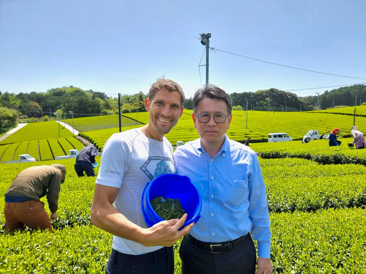 Bio Grüntee Teefarm Christian