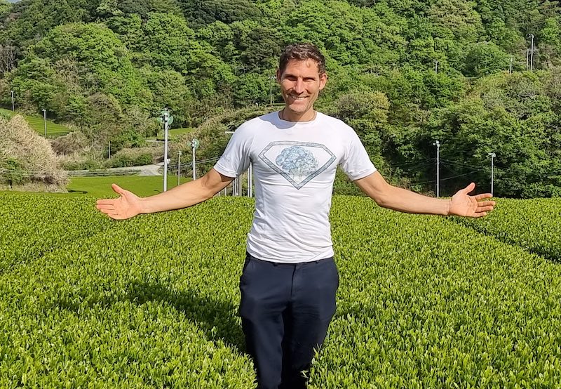 Bio Grüner Tee Anbau Japan Christian Teefeld